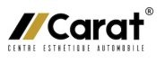 Logo Carat